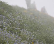 IMG_3783
